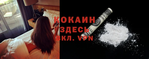 твердый Алзамай