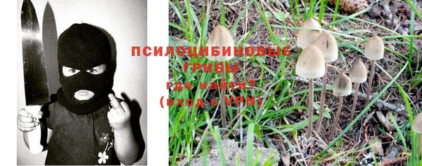 эйфоретик Арсеньев