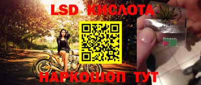 прущие грибы Донской