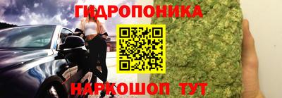 прущие грибы Донской