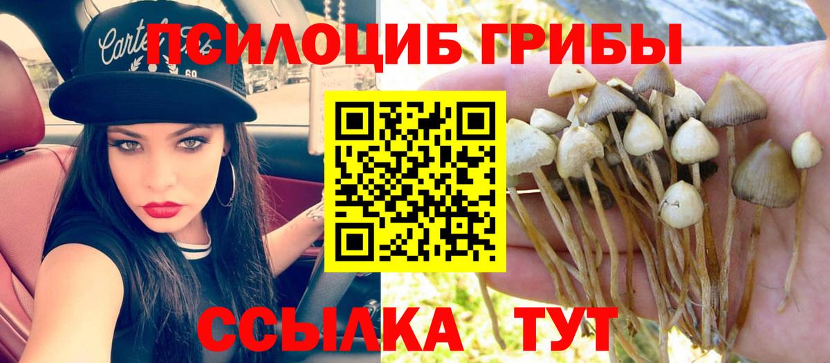 Псилоцибиновые грибы Magic Shrooms Лобня