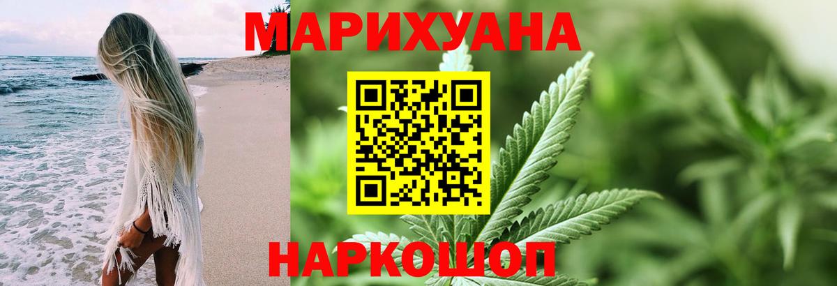 Каннабис индика Лобня